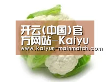 产品名称九
