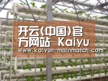 环境展示六
