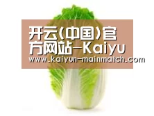 产品名称一(图1)
